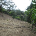 proyecto-1-3