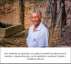 Abelardo