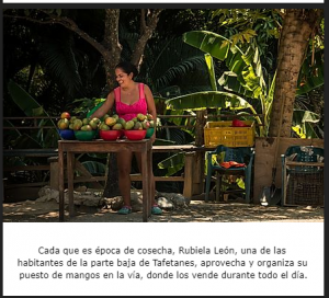 Frutas